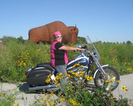 Corn Dog parked in front of bison sculpture