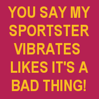 you say my sportster vibrates graphic