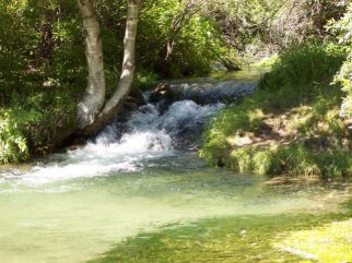 spearfish canyon stream