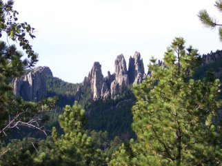 needles along the needles highway